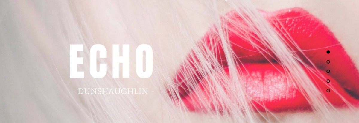 Eamonn Scully T/A Echo