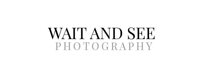 Wait and See Photography
