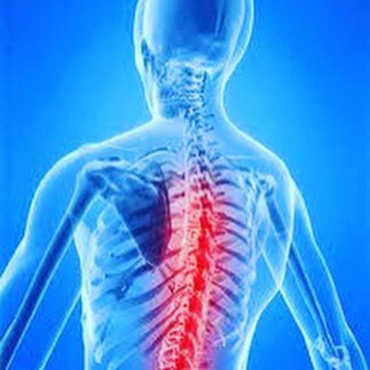 Michael Cole Muscle Injury Therapy Clinic